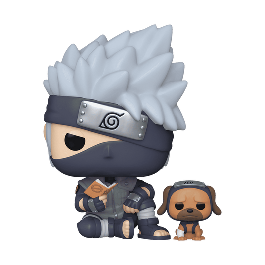 POP! & BUDDY KAKASHI HATAKE WITH PAKKUN